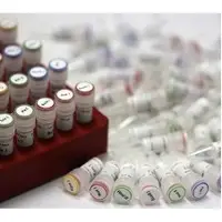 Bio research enzymes