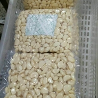 Fresh Peeled Garlic Clove