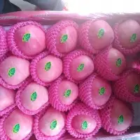 Fresh Fuji Apple