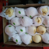 Fresh Pear