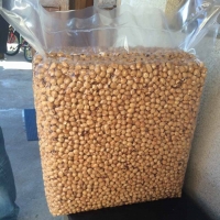 Hazelnut kernel