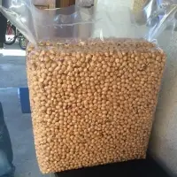 Hazelnut kernel