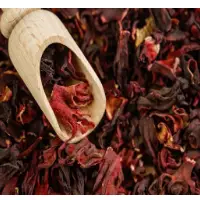 Hibiscus Flower