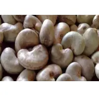 Raw Cashew Nuts