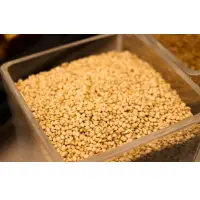 White Sesame Seeds