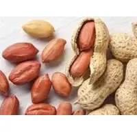 Peanuts