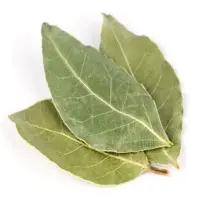 Bay Leaf