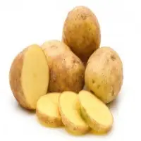 Potato