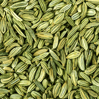 Fennel Seeds