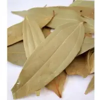 Bay Leaf