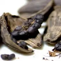 Big Cardamom