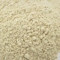 Garlic Powder