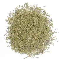  Rosemary
