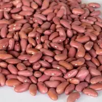 Kidney Beans (Rajma)