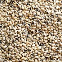 Black Eyed Beans (Lobhia)