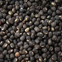 Black Gram Lentils (Sabut Urad Dal / Kaali Dal)