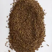Roasted Flax Seed