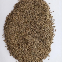 Dill Seed
