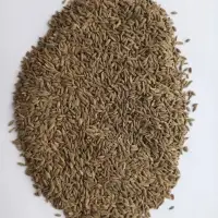 Dill Seed