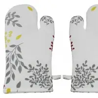 Oven Mitten