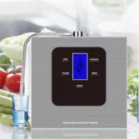 Alkaline Water Ionizer