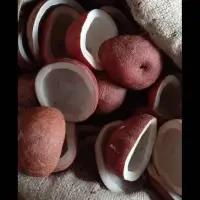 Edible Copra