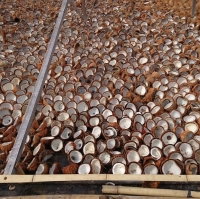 Coconut Copra