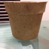 Coir Seed Germination Cup