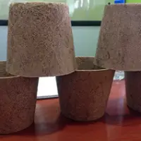 Coir Pot