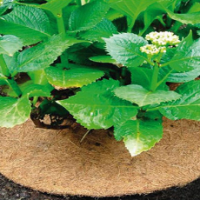 Mulch Mat (Weed Control Mat)