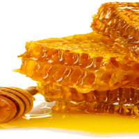 Honey