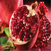 Pomegranate