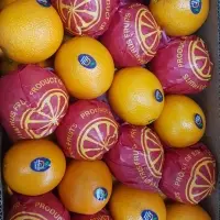 Fresh Orange
