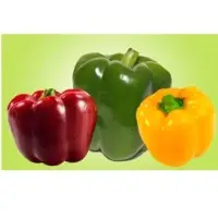 Fresh Capsicum