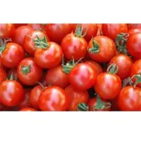 Tomatoes