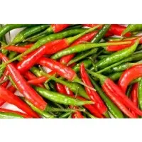 Green And Red Chilli