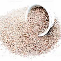 Sesame Seeds