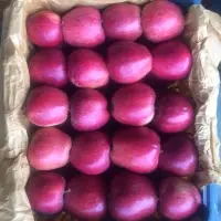 Fresh Red Apple