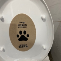 Toilet Aerosol Cleaner