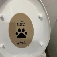 Toilet Aerosol Cleaner