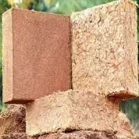 Coco Peat