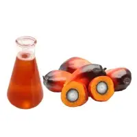 Crude Palm Oil ( CPO )