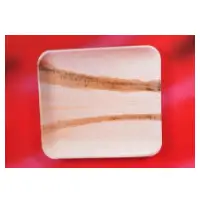 12" X 10"  Rectangle Platter