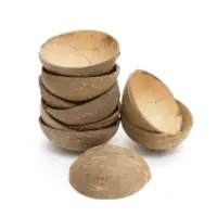 Coconut Shell 150 Ml To 200 Ml