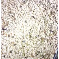 Sesame Seed