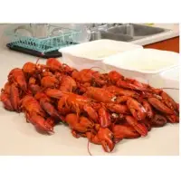 Lobster