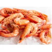 Prawns