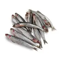 Anchovies