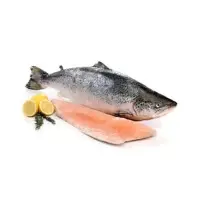 Salmon