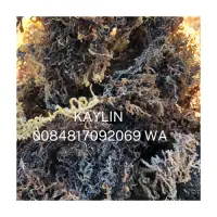 Sea Moss Vietnam